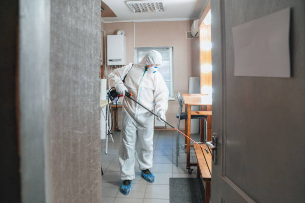 Best Residential Mold Inspection & Testing  in Yorktown, IN