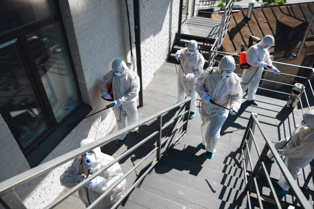 Best Real Estate Mold Inspection  in Yorktown, IN