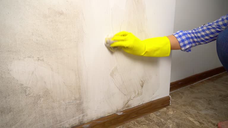 Best Asbestos and Lead Testing During Mold Inspection  in Yorktown, IN